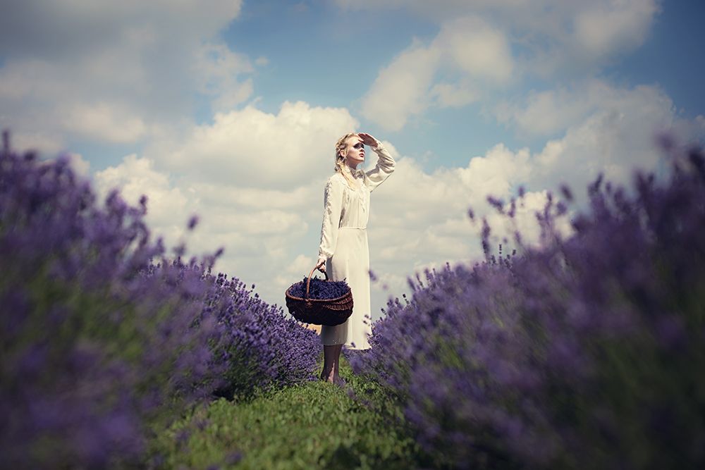 Lavender field art print by Dorota Gorecka for $57.95 CAD
