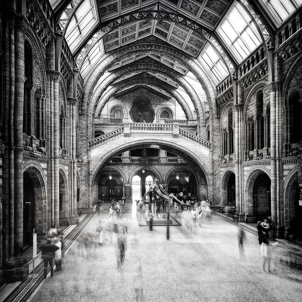 Natural History Museum of London art print by Santiago Pascual Buye for $57.95 CAD