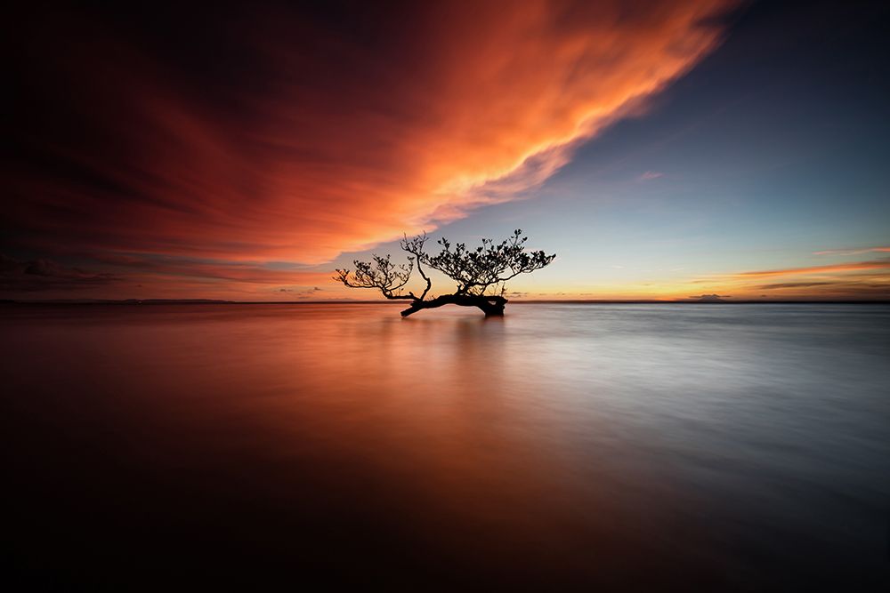 Center of the sea art print by Gunarto Song for $57.95 CAD