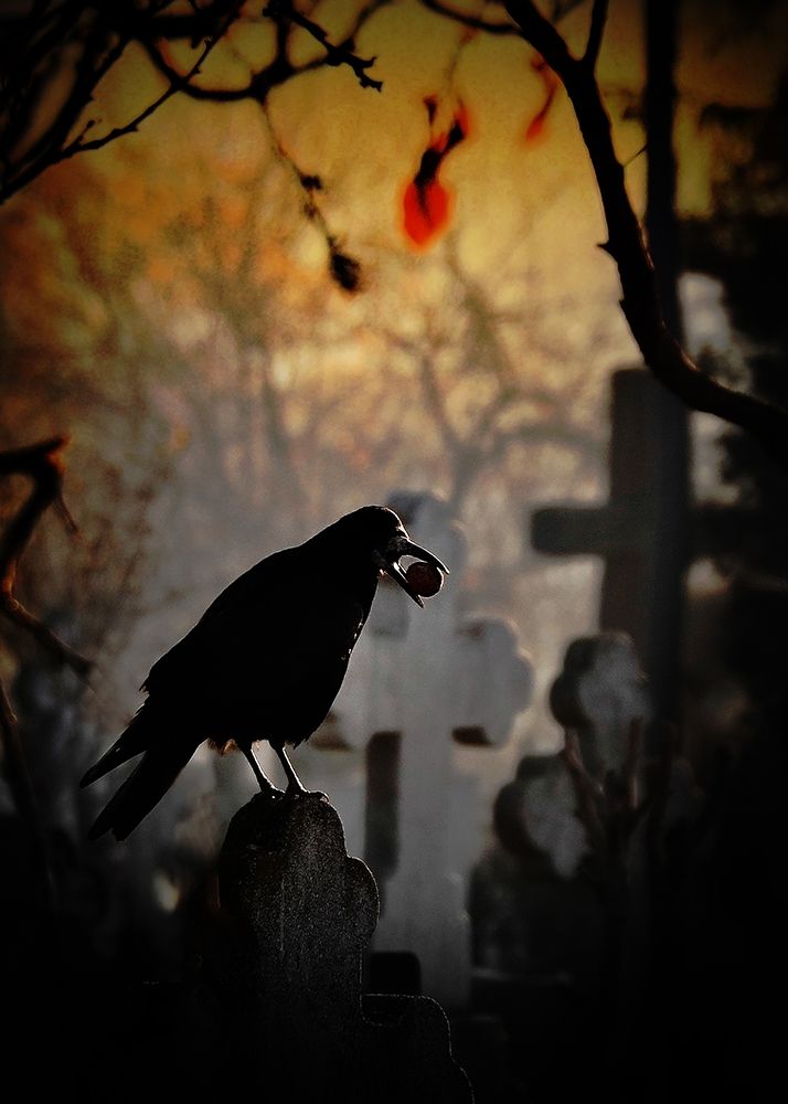 memento mori art print by Cristian Andreescu for $57.95 CAD