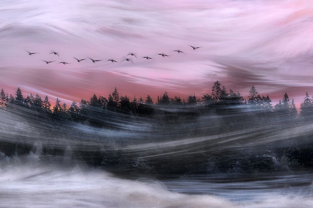 Leaving At Dawn art print by Bjorn Emanuelson for $57.95 CAD