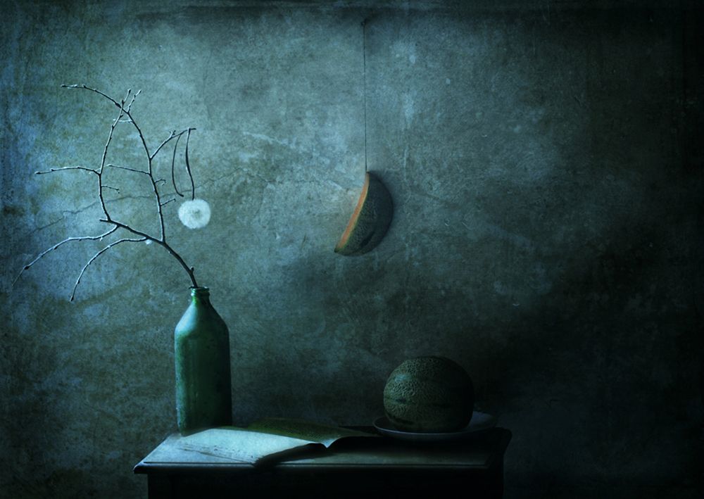 Allegory with melon art print by Delphine Devos for $57.95 CAD