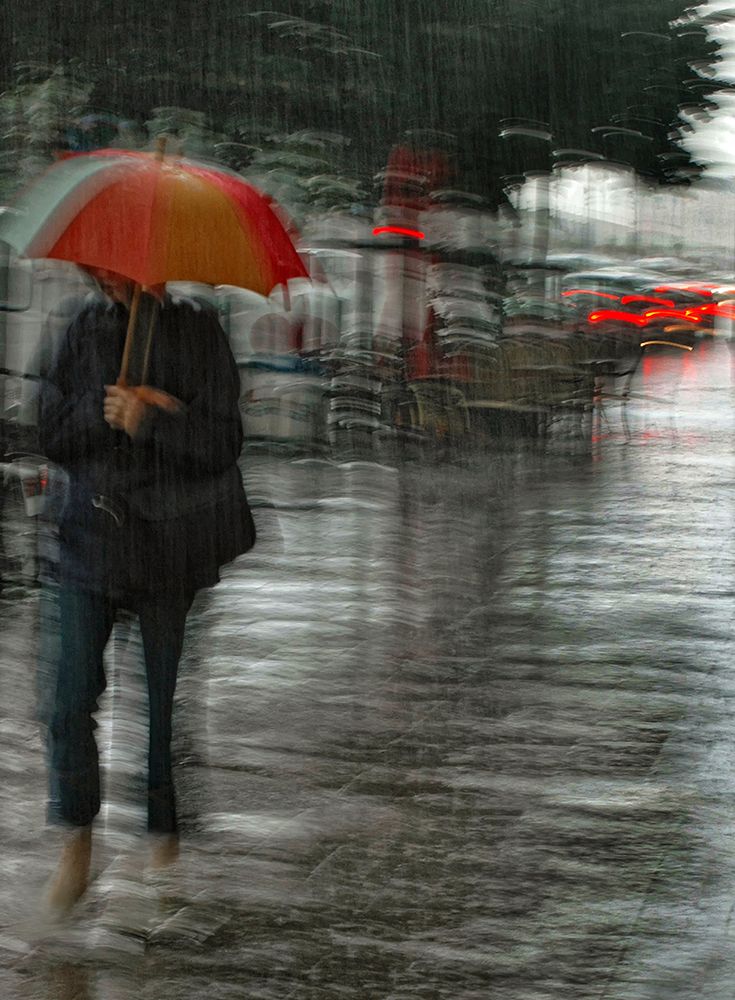 Its raining cats and dogs art print by Yvette Depaepe for $57.95 CAD