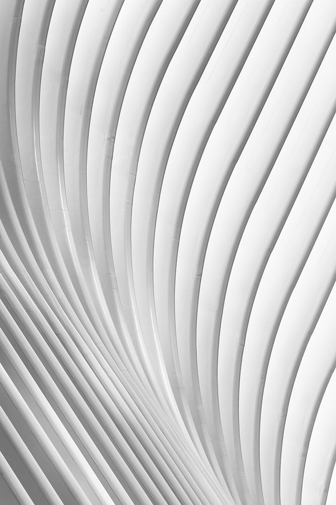 Calatrava Lines art print by Christopher Budny for $57.95 CAD