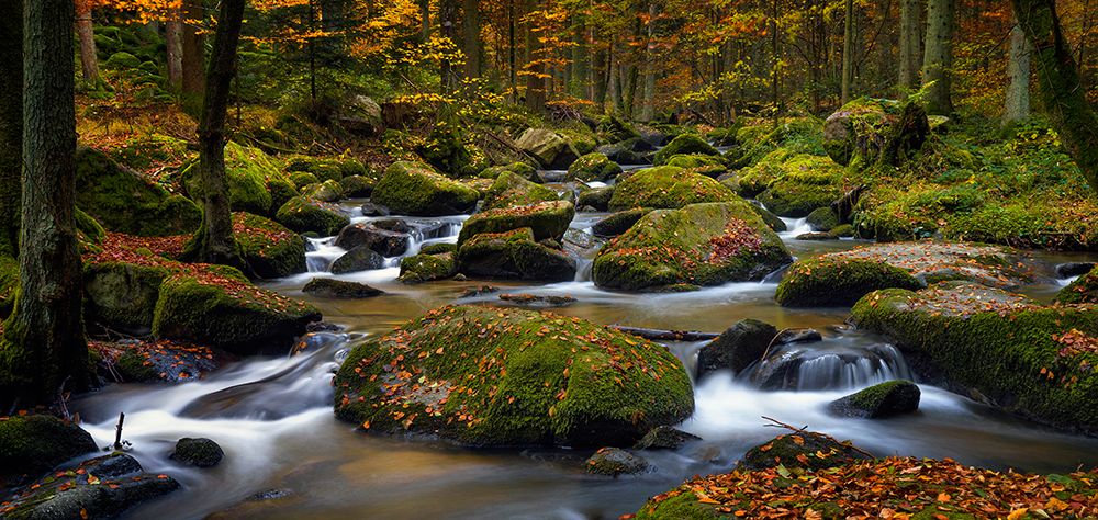 Autumn Waters art print by Norbert Maier for $57.95 CAD