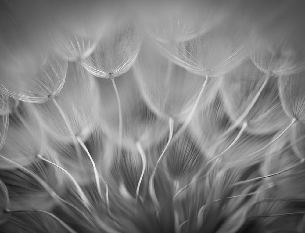 Untitled art print by Keren Or for $57.95 CAD