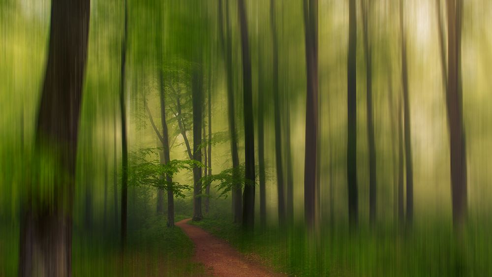 The Green Forest. art print by Leif Londal for $57.95 CAD