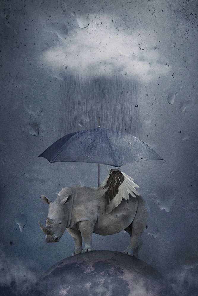 Under The Rain art print by Muriel Vekemans for $57.95 CAD