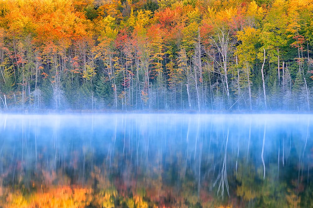 Fall Color art print by Yimei Sun for $57.95 CAD