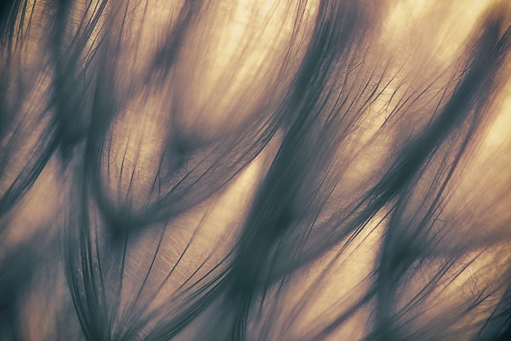 Untitled art print by Keren Or for $57.95 CAD