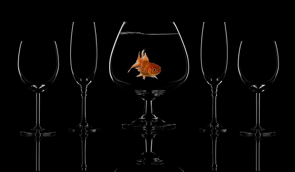 Glass Fish art print by Saleh Swid for $57.95 CAD