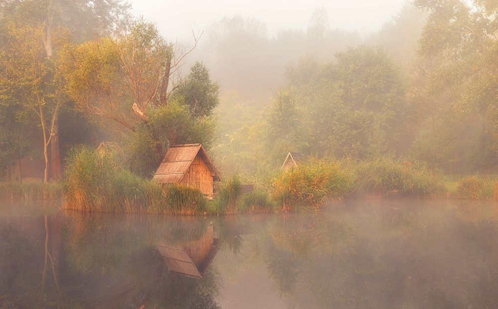 DreamScape art print by Leicher Oliver for $57.95 CAD