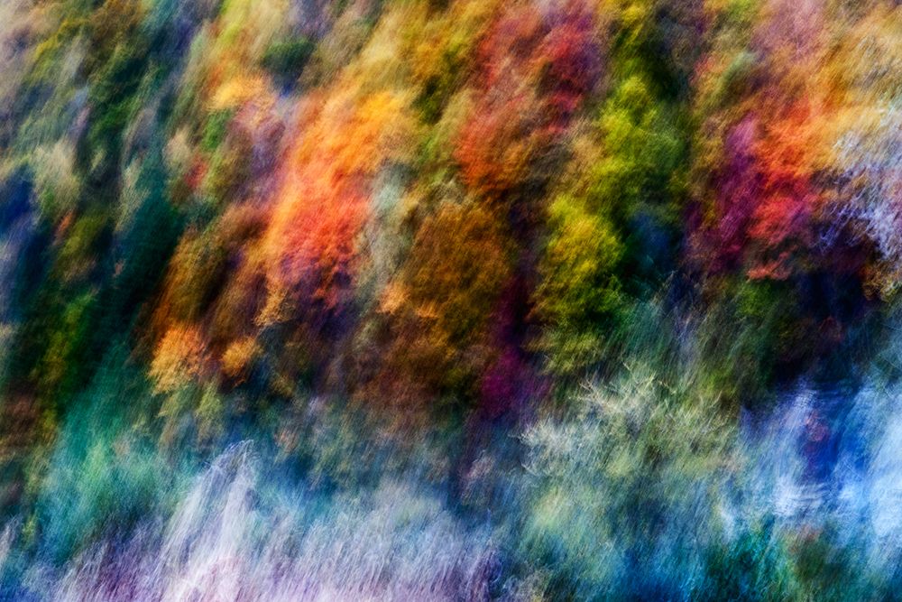 COLORFUL FOREST art print by Wei He for $57.95 CAD