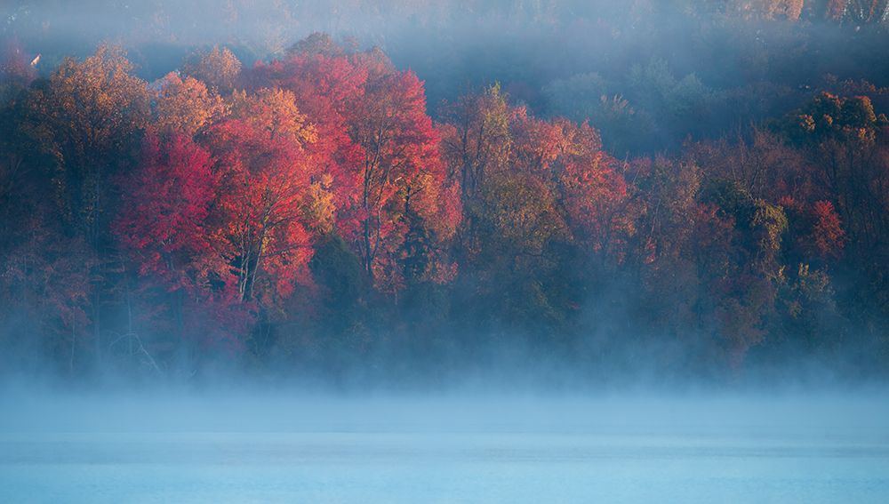Fall Impression #4 art print by Austin for $57.95 CAD