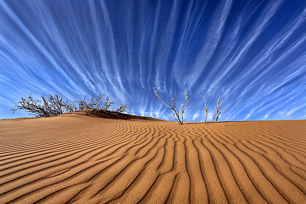 earth and sky lines art print by Abdullah Alnassar for $57.95 CAD