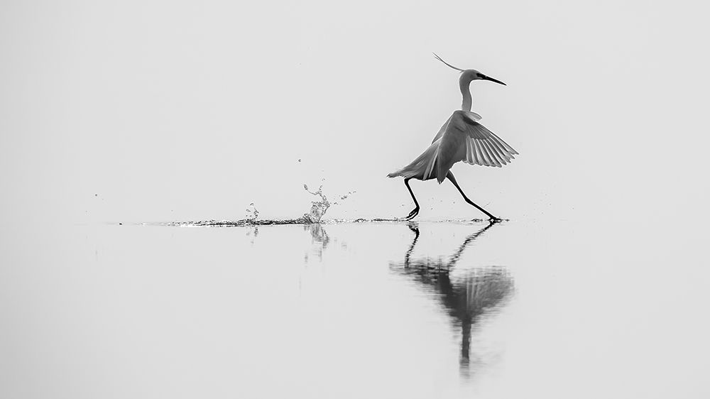 Qdancing On The Waterq art print by Mauro Rossi for $57.95 CAD