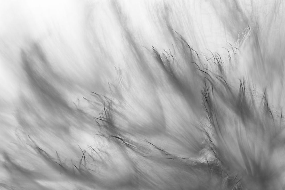 Untitled art print by Keren Or for $57.95 CAD