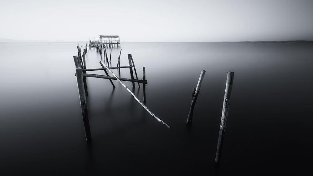 Carrasqueira in Black and White art print by Ivan Ferrero for $57.95 CAD