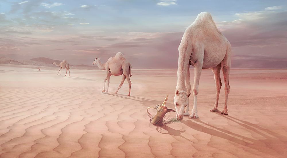 Camels Trip art print by Sulaiman Almawash for $57.95 CAD