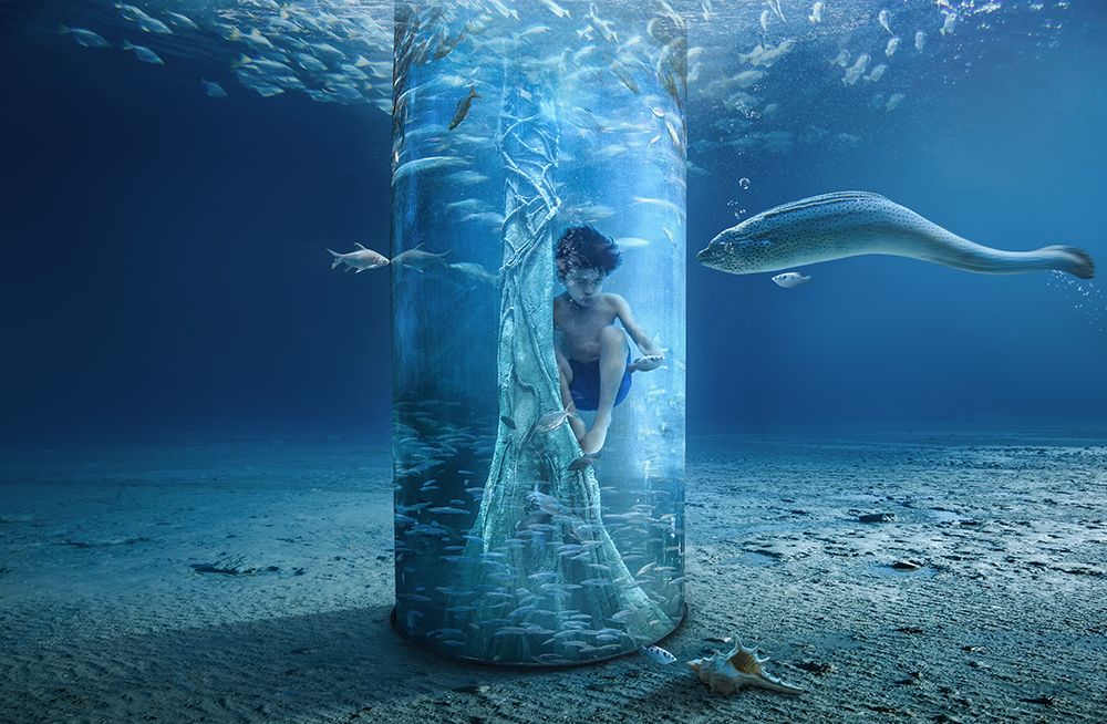 Underwater art print by Sulaiman Almawash for $57.95 CAD