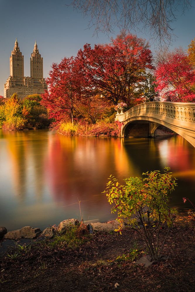 Fall In Central Park art print by Christopher R. Veizaga for $57.95 CAD