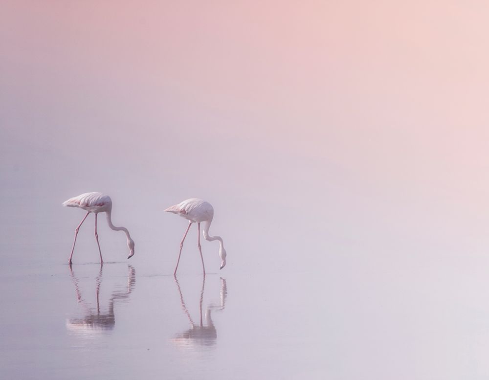 Serenity 3 art print by Ahmed Thabet for $57.95 CAD