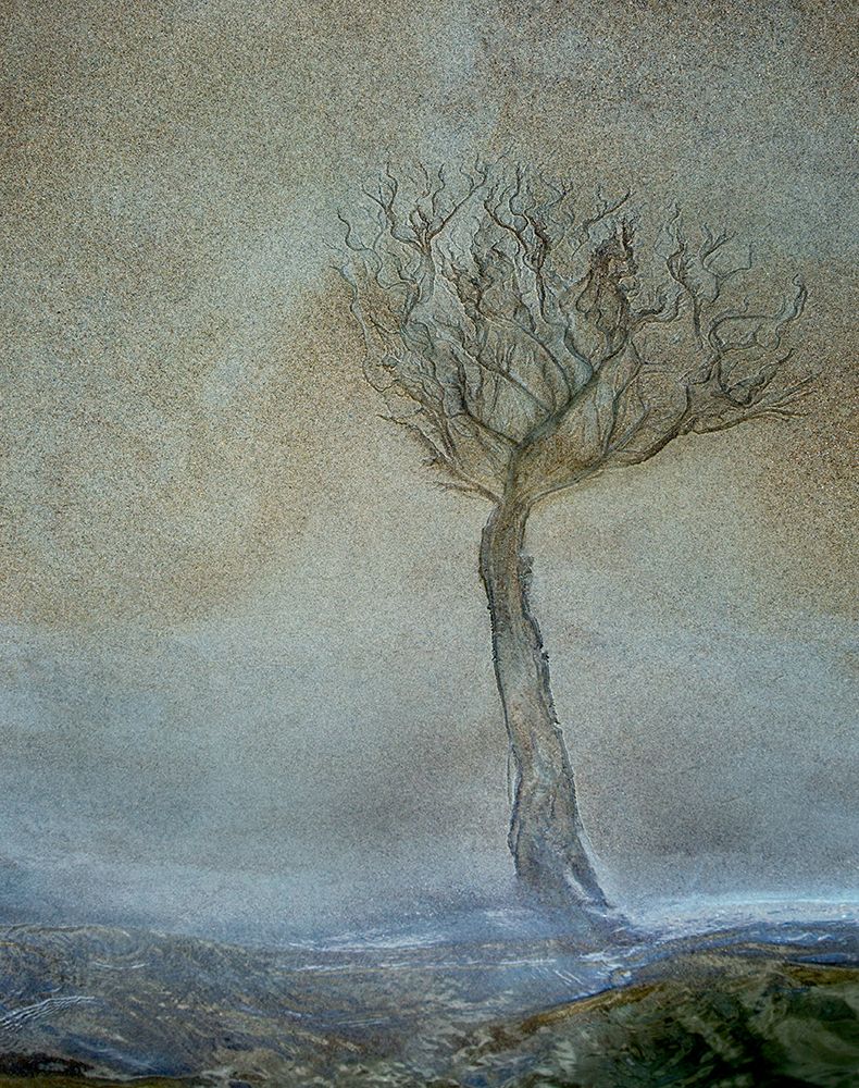 Lonely Tree art print by Nel Talen for $57.95 CAD