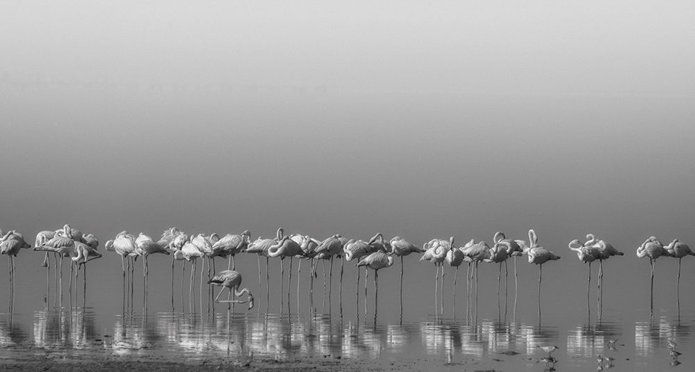 Comrades at cleaning time art print by Ahmed Thabet for $57.95 CAD