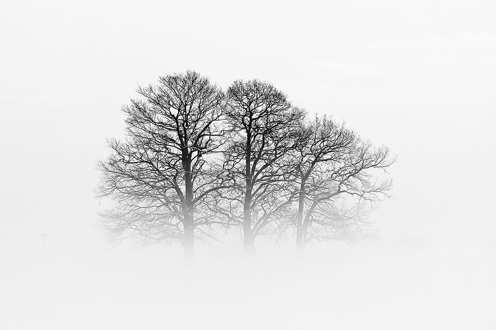 A Hazy Shade Of Winter art print by Oliver Buchmann for $57.95 CAD
