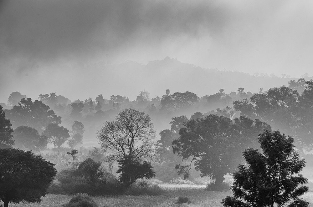 Araku Winter art print by Dr. Ashok Kolluru for $57.95 CAD