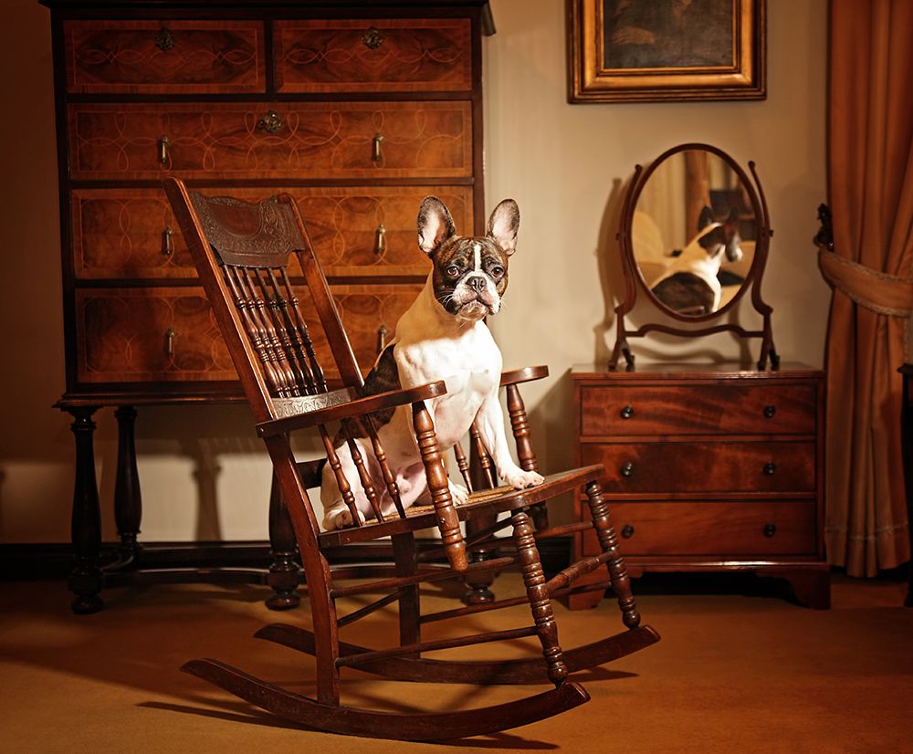 Dali on the swing Chair art print by DDiArte for $57.95 CAD