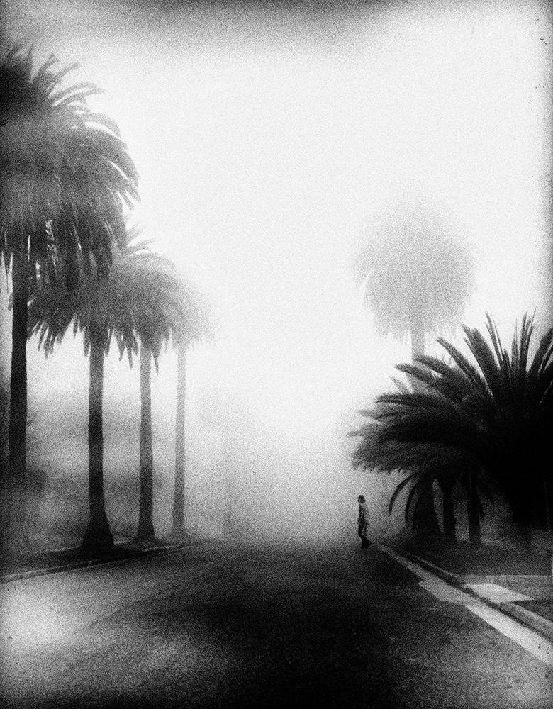 Fog art print by Roxana Labagnara for $57.95 CAD