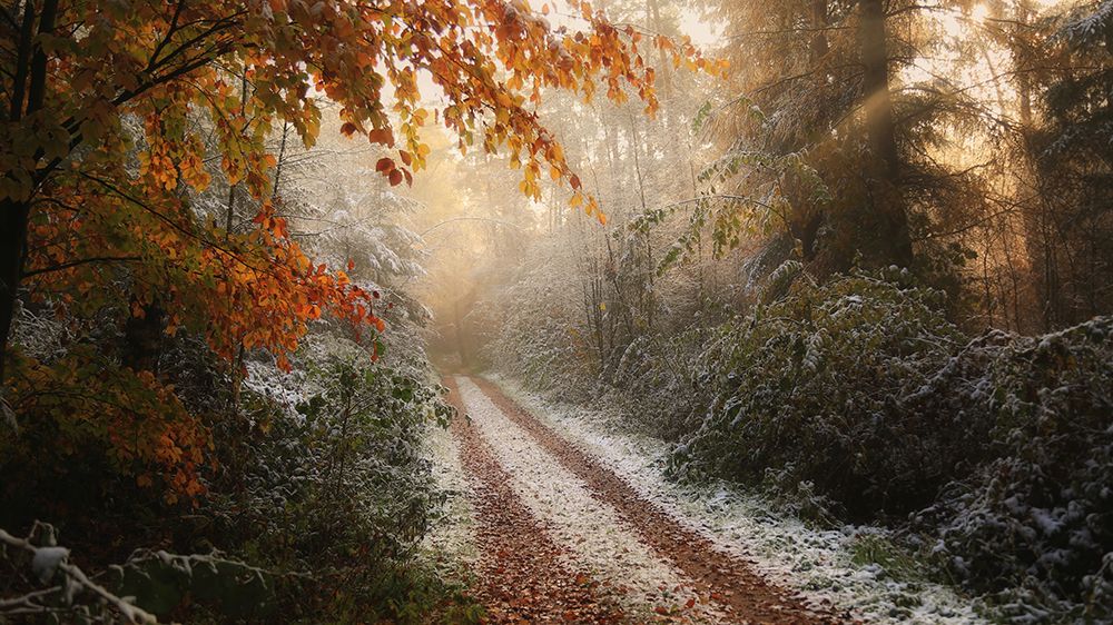 Frosty Fall art print by Vincent Croce for $57.95 CAD