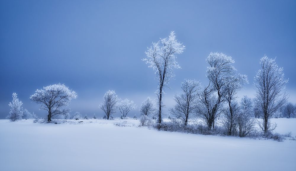 Winterland art print by Christian Duguay for $57.95 CAD