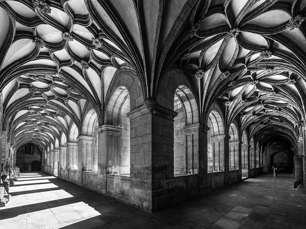 the flowery cloister art print by Fernando Silveira for $57.95 CAD