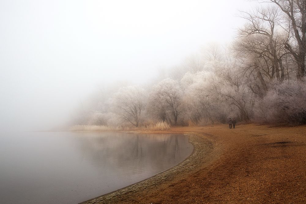 Fog and rime on the lake art print by Hans Peter Rank for $57.95 CAD