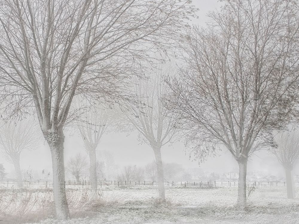 Covered with a white quilt art print by Yvette Depaepe for $57.95 CAD