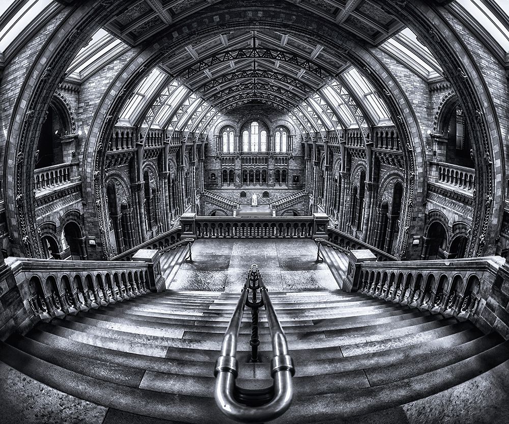 Harry Potter meets Escher and Darwin. art print by Massimo Cuomo for $57.95 CAD