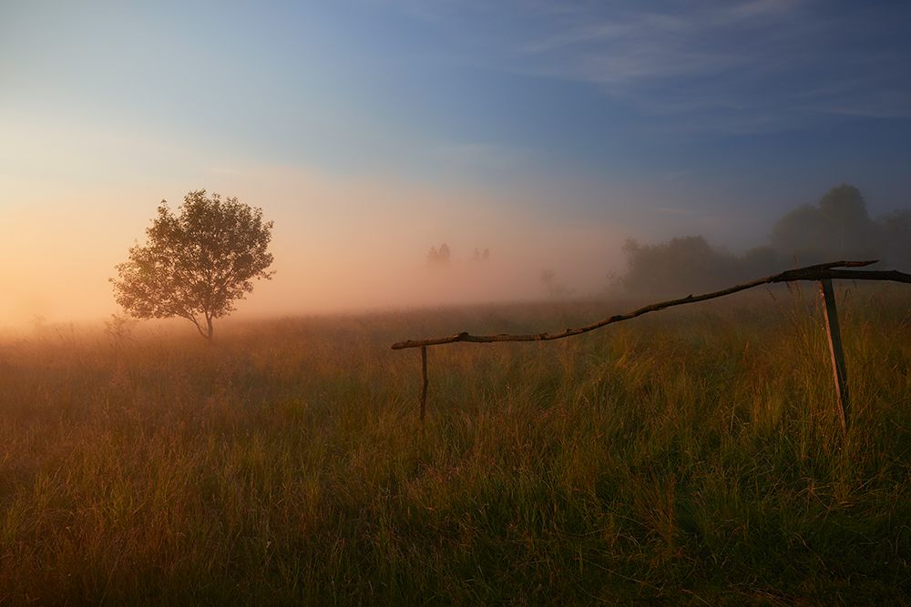 The Summer Field art print by Krzysztof Mierzejewski for $57.95 CAD