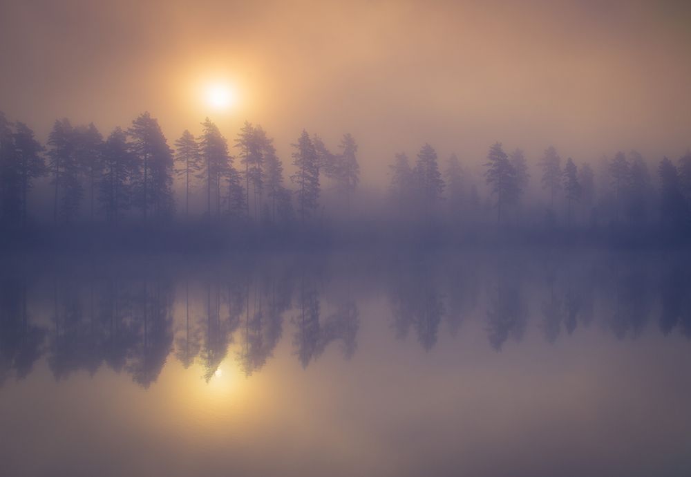 Misty trees art print by Andreas Christensen for $57.95 CAD