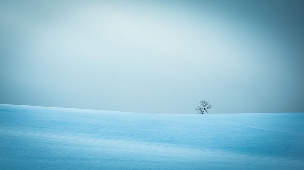 Winter in solitude art print by Miroslaw Prybinski for $57.95 CAD