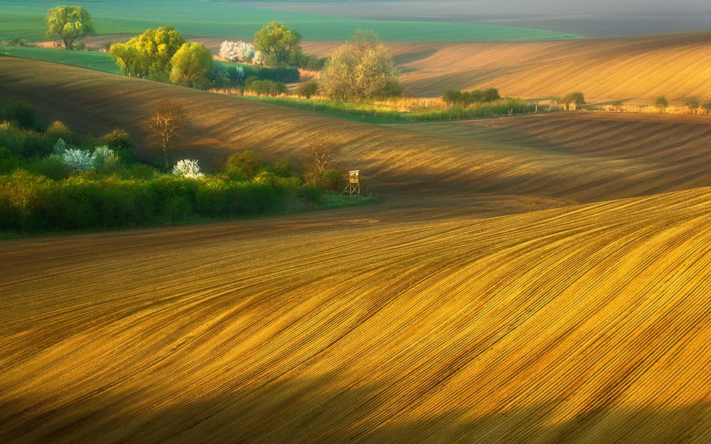 Fields... art print by Krzysztof Browko for $57.95 CAD