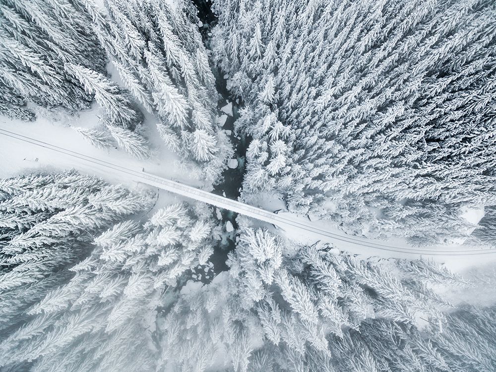 Winter Wonderland art print by Evgeny Vasenev for $57.95 CAD