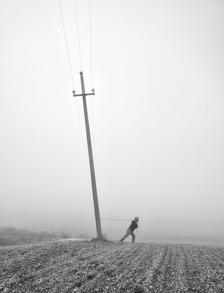 Tenacity art print by Carlo Ferrara for $57.95 CAD