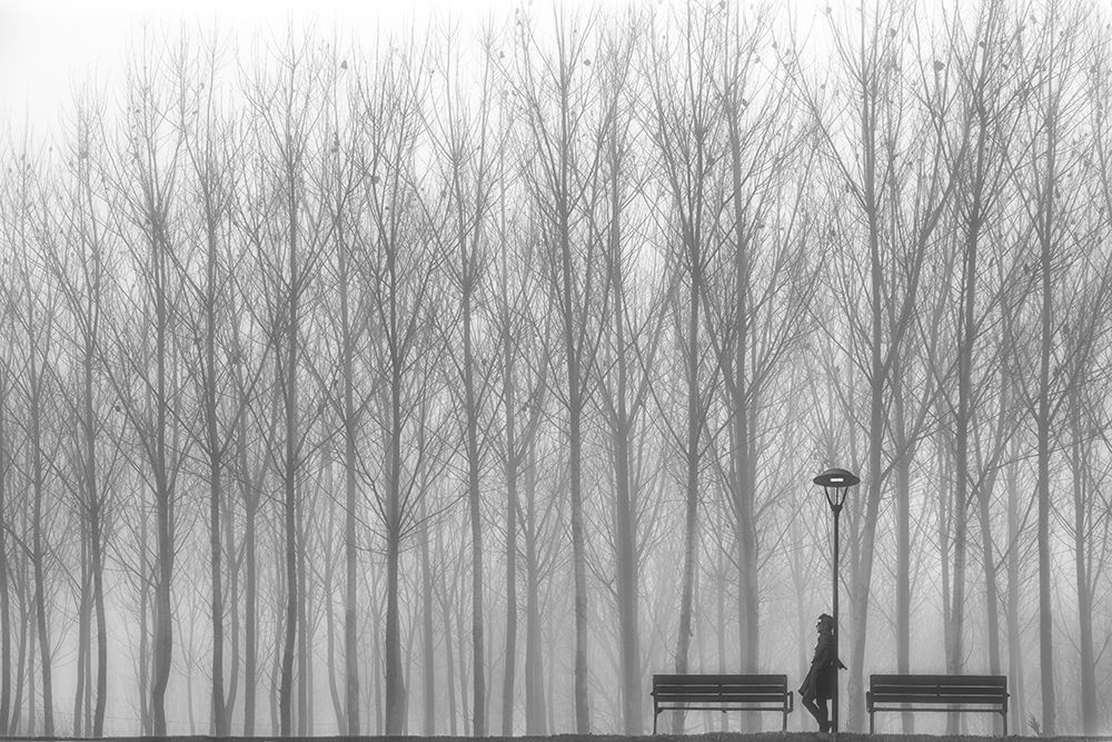 relax art print by Francesco Deste for $57.95 CAD