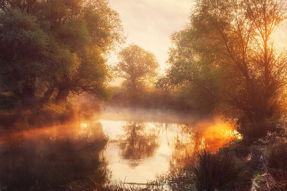 When Nature Paints with Light II art print by Leicher Oliver for $57.95 CAD