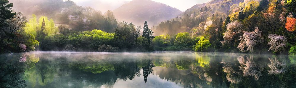 Morning Calm art print by Tiger Seo for $57.95 CAD