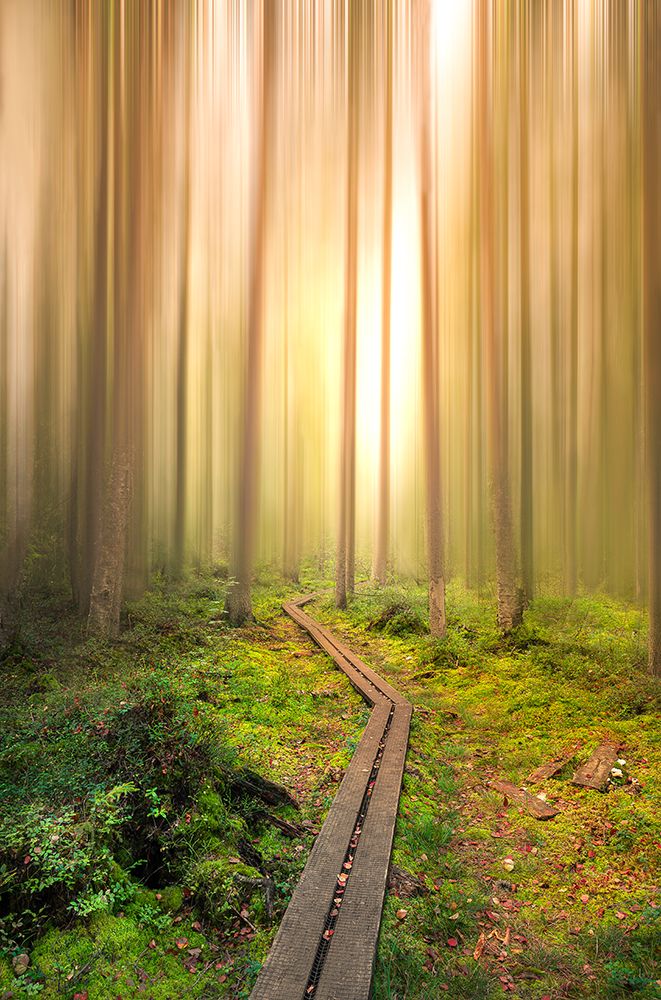 Into The Light art print by Christian Lindsten for $57.95 CAD