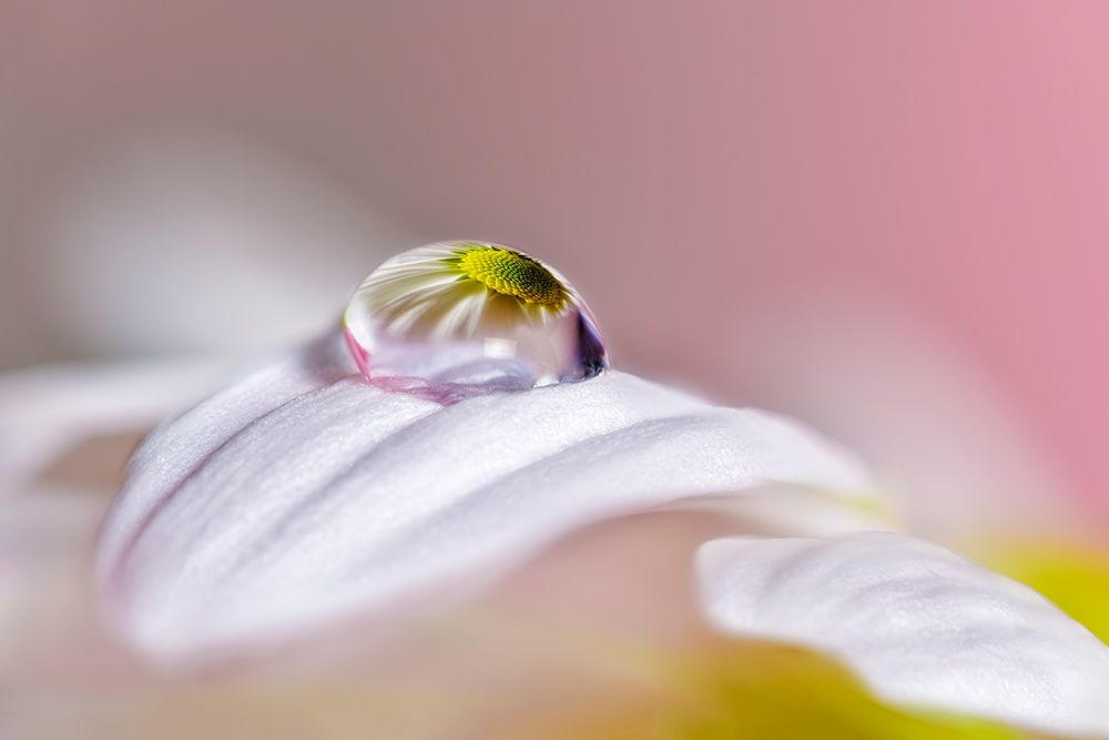 Magical Drop art print by Jesus M. Garcia for $57.95 CAD