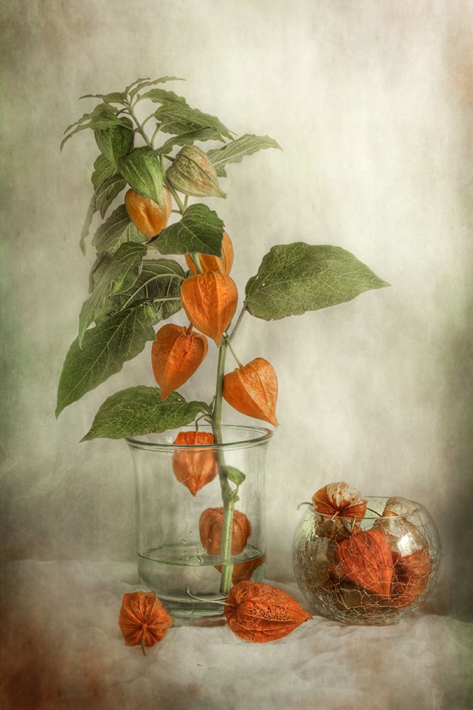 Lanterns art print by Mandy Disher for $57.95 CAD